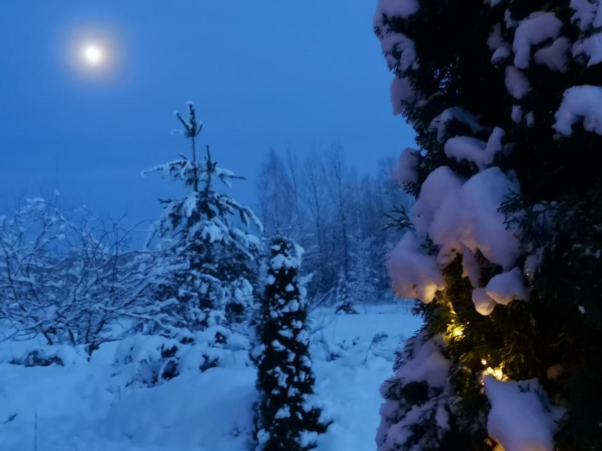 Dvinumajas Villa Balvi Dış mekan fotoğraf