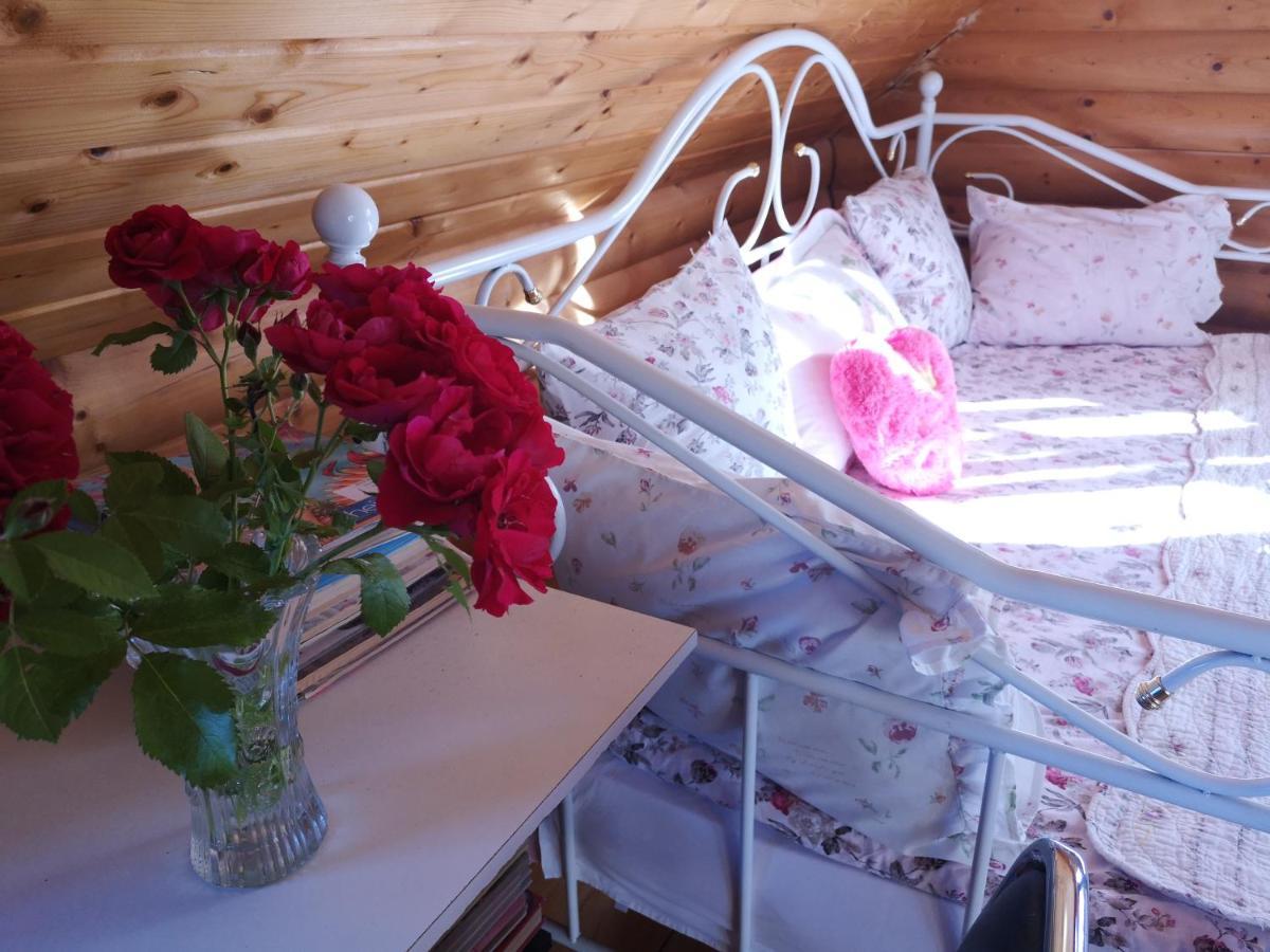 Dvinumajas Villa Balvi Dış mekan fotoğraf